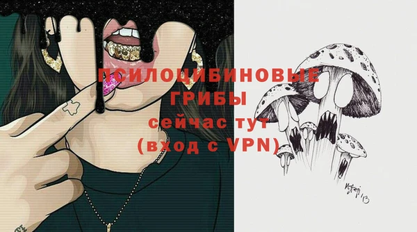 спайс Алзамай