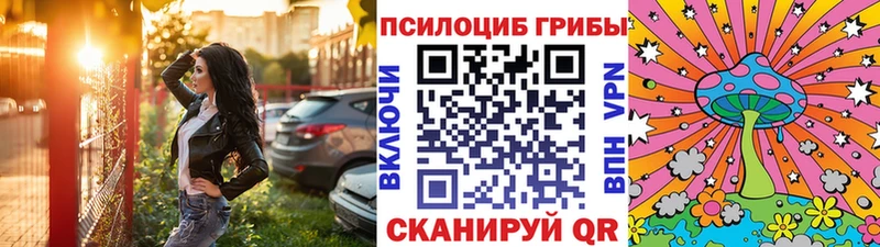 Псилоцибиновые грибы Psilocybe  blacksprut tor  Кольчугино 