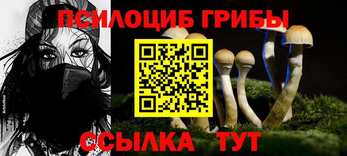 Кольчугино  Псилоцибиновые грибы прущие грибы  Вход с VPN  Галлюциногенные грибы GOLDEN TEACHER 